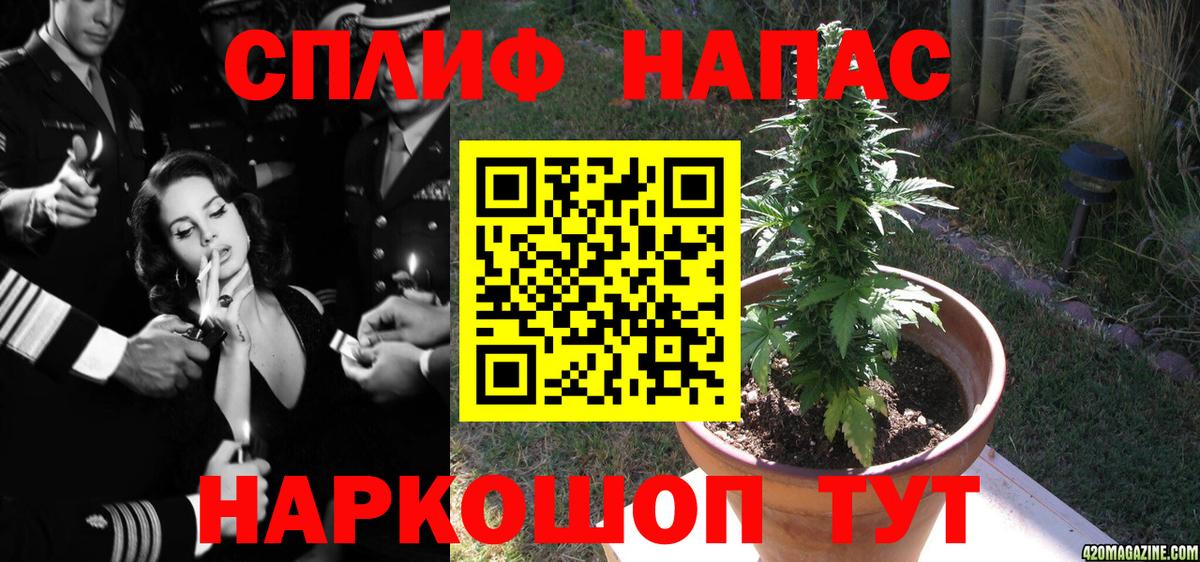 Бошки марихуана конопля Назрань